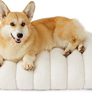 Orthopedic Dog Crate Bed Limited Time Deal upto 28% Off