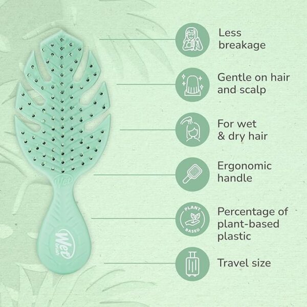 Go Green Mini Detangler Limited Time Deal upto 56% Off - Image 4