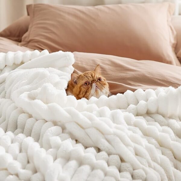 GentleSoft Cozy Soft Blankets Limited Time Deal upto 25% Off - Image 3