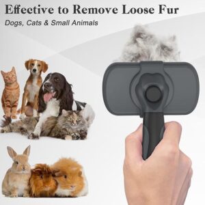 Self Cleaning Slicker Brush Limited Time Deal upto 24% Off