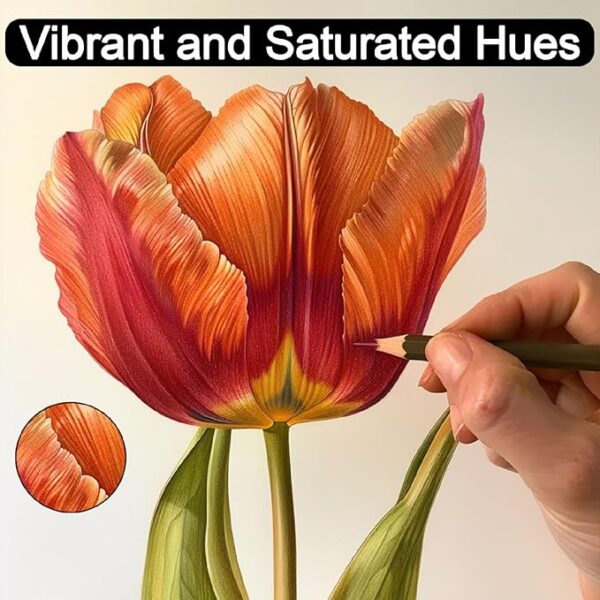 72 Colors Drawing Pencils Limited Time Deal upto 17% Off - Image 6