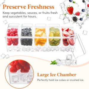 Ice Chilled Condiment Caddy Limited Time Deal upto15% Off